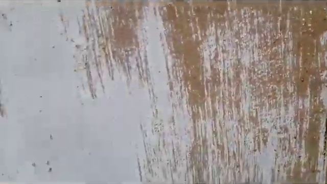 12 августа 2023.Уссурийск,новоднение.Вода прибывает.Ютуб канал:Стороженко Владимир)+79241232444. смотреть онлайн