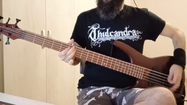 Sepultura - Territory (Bass cover) смотреть онлайн