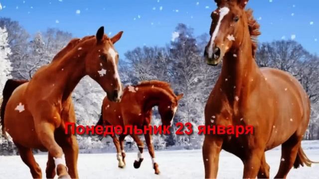 Неделя 23-29 января 2023: Поехали!.. Поток стремительных перемен после 1-го Новолуния года смотреть онлайн