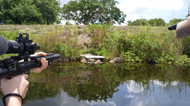 Hunting Iguanas with HeatherLynnOh, Python Cowboy, and Alex Zedra смотреть онлайн