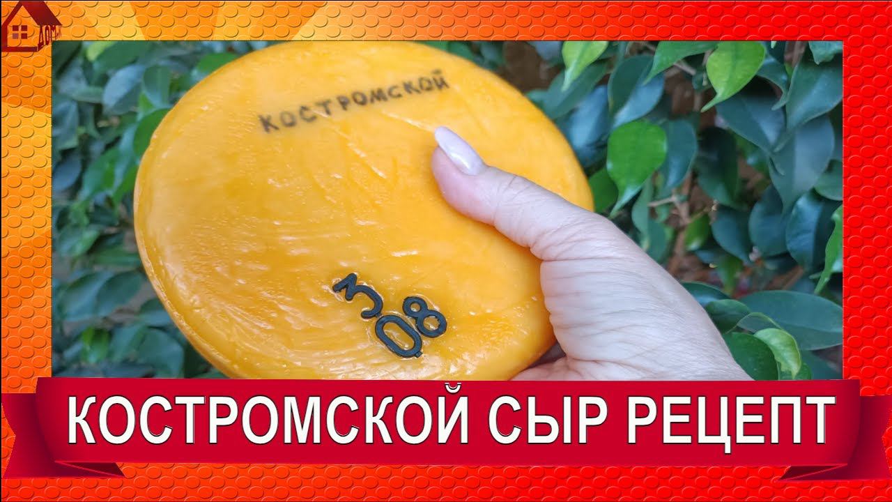 КОСТРОМСКОЙ СЫР: рецепт подробно ☆ Как сделать Костромской сыр в домашних условиях - простой рецепт смотреть онлайн