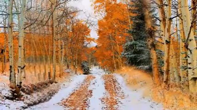 Осенние пейзажи смотреть онлайн