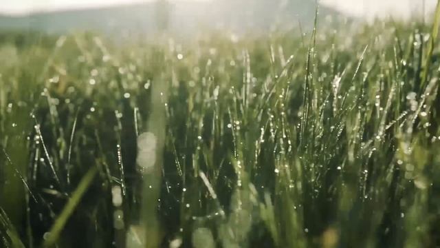 Relaxing Music for Stress Relief, Healing Therapy, Calm Music, Sleep, Spa смотреть онлайн