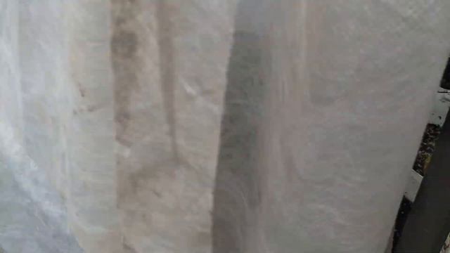 ФРИГО ЧЕРЕЗ НЕДЕЛЮ ПОСЛЕ ВЫСАДКИ смотреть онлайн