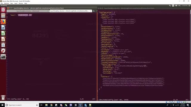 Elastos Mining, Testnet and Wallet Demo 2/4 смотреть онлайн