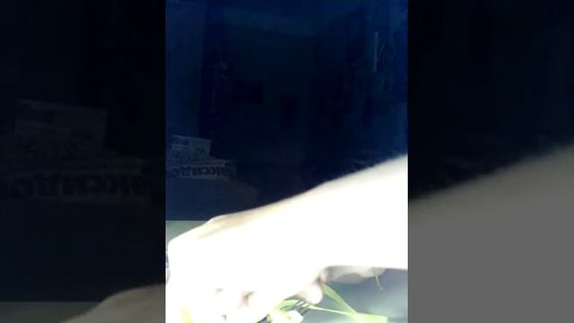 Как сделать двойной бантик из ленточик на вилке смотреть онлайн