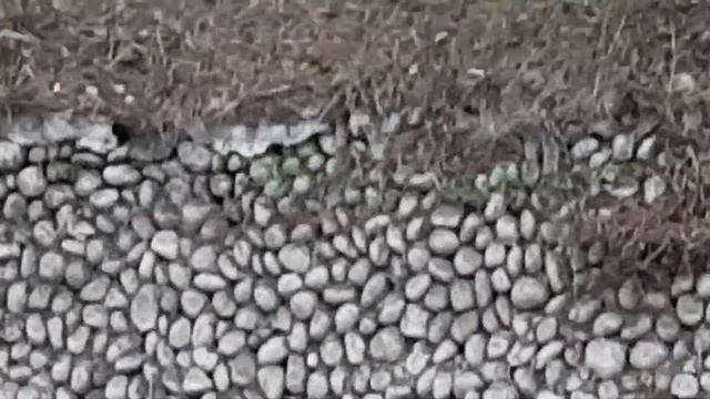 Хотите ещё завихрения мозга?! Получите! Вся земля от Милана до Тоина разделена на вибрационные лини