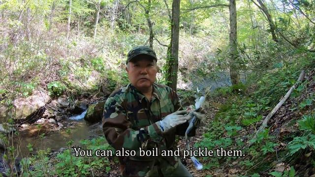 Foraging for Wild Vegetables in Northern Japan - 2 смотреть онлайн