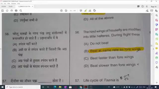 UPTGT/UPPGT/STET JUNIOR/DSSB TGT 2021 | Natural Science | Paper Discussion | By Bhawani Sir | 24 смотреть онлайн