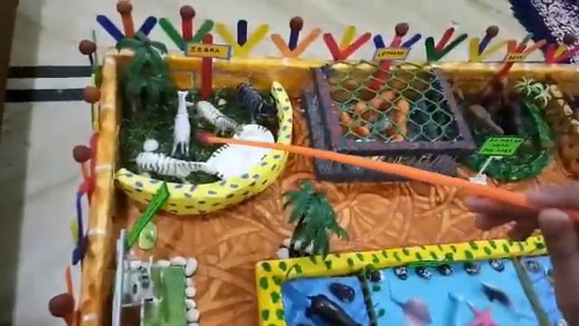 Science project (animal zoo) смотреть онлайн