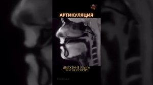 Артикуляция #shorts