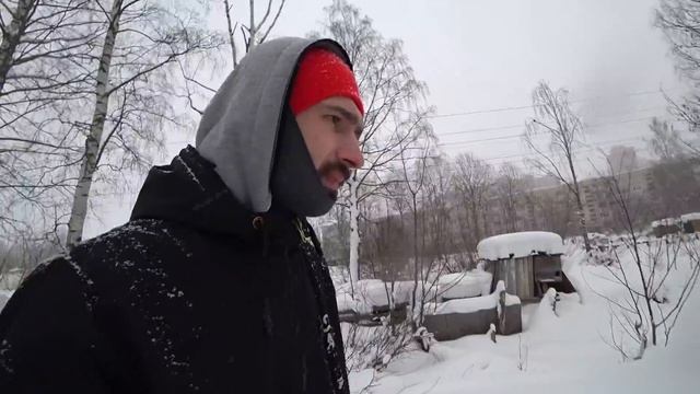 Хаски Капелла повредила лапу, оторвала коготь. Удаление когтя у собаки смотреть онлайн