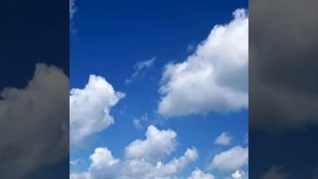 Эти розы 🌹(Азамат Исенгазин) смотреть онлайн