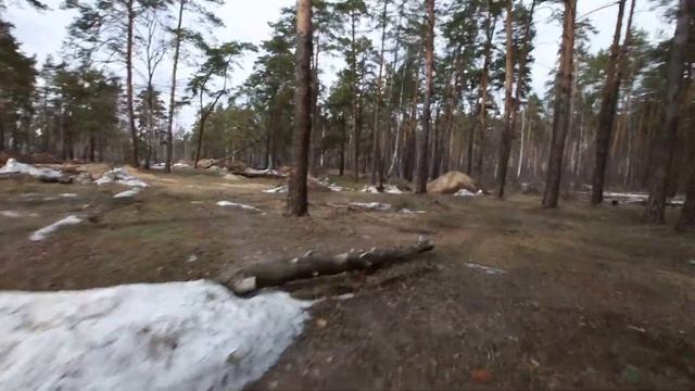 Разбой в сосновом лесу смотреть онлайн