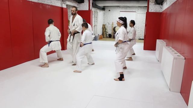 Макс Дедик. Экзамен на 7 кю, перемещения со сменой стоек. Mad Max Dojo смотреть онлайн