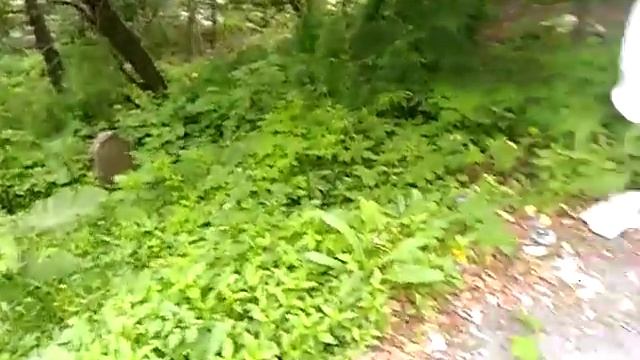Владивосток парковка