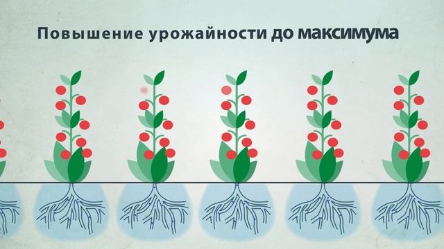 Multi K - лучший источник калия для растений смотреть онлайн
