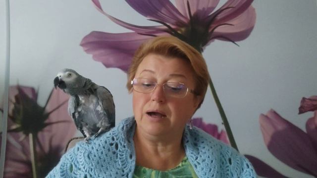 Альф Прёйсен "Про козлёнка, который умел считать до десяти" и "Весёлый Новый год". смотреть онлайн