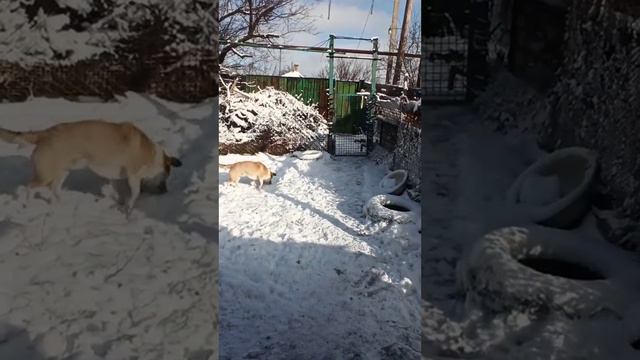 С утра у нас солнечная погода. 21 января 2024. смотреть онлайн