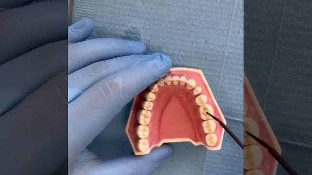 Участник международной олимпиады смотреть онлайн