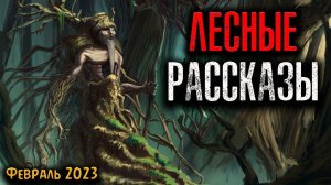 ЛЕСНЫЕ РАССКАЗЫ | Страшные истории
