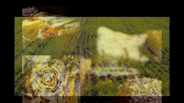 Funny Pictures ♦ Прикольные фото смотреть онлайн