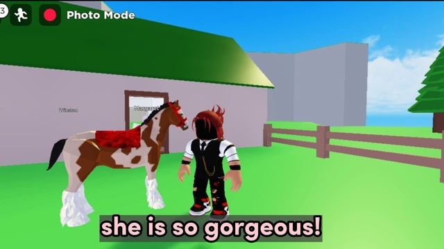 i bred Paint horse with every horse in Horse valley #roblox #horsevalley #roadto200subs смотреть онлайн