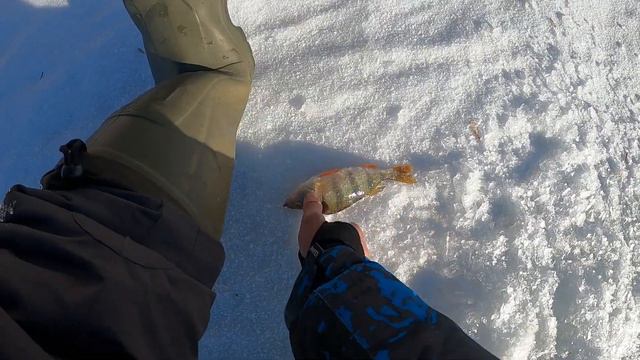 КАРАСЬ ЗИМОЙ НА МОРМЫШКУ смотреть онлайн