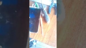 Одна из причин перелива бензина! Ремонт карбюраторов Микуни, кейхен