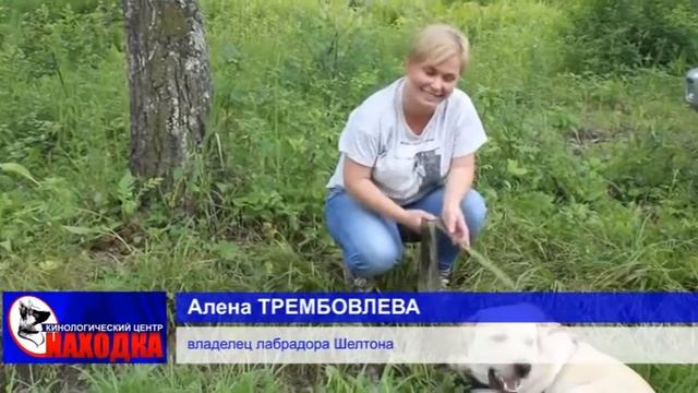 Обучение лабрадора Шелтона поиску людей смотреть онлайн