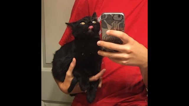 Andro - 7:00 (slowed) смотреть онлайн