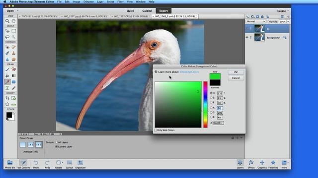 Set colors lesson from "Learn - Photoshop Elements 11 Editor" a training App from TheMacU.com смотреть онлайн