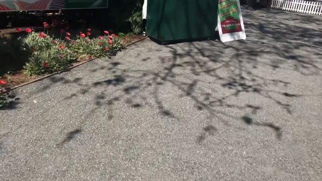 Цветочные поля (the flower fields, carlsbad, california) смотреть онлайн