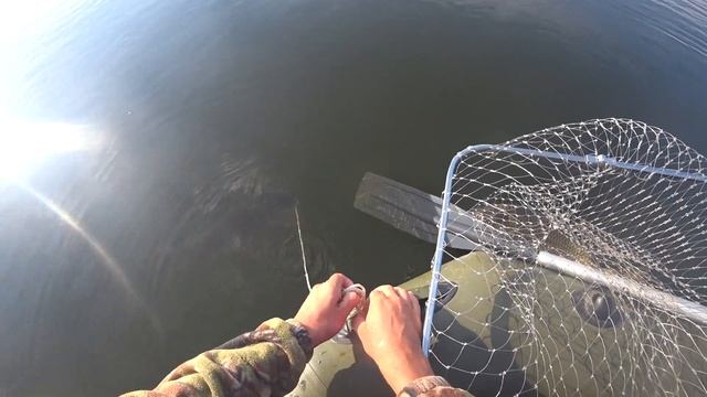 Ловля Сазана на Бутылки и Кружки.Сазан летом на Горох смотреть онлайн