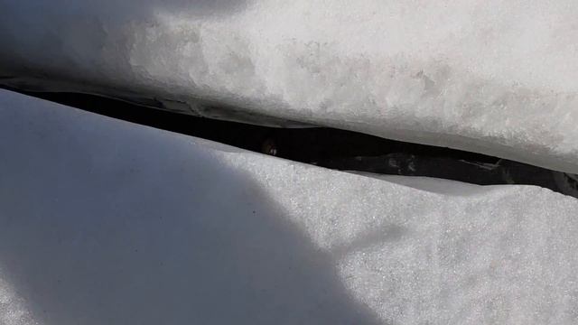 Весна 2018. Пикник на берегу. Изучаем рельеф дна. смотреть онлайн
