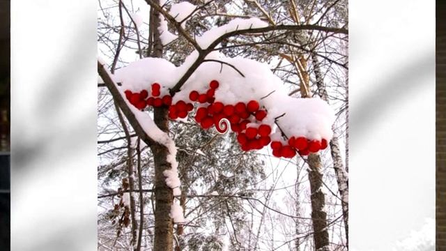 " Гроздья калины", Л. В.- Соловьёва. Лиепая. смотреть онлайн