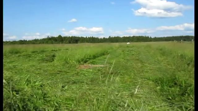 Пробное кошение конной косилкой смотреть онлайн