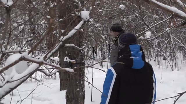 Фотоохота на кабанов смотреть онлайн