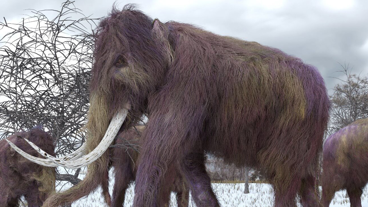 Настоящий,Живой Мамонт был снят на камеру в Якутии Самые Невероятные Находки смотреть онлайн