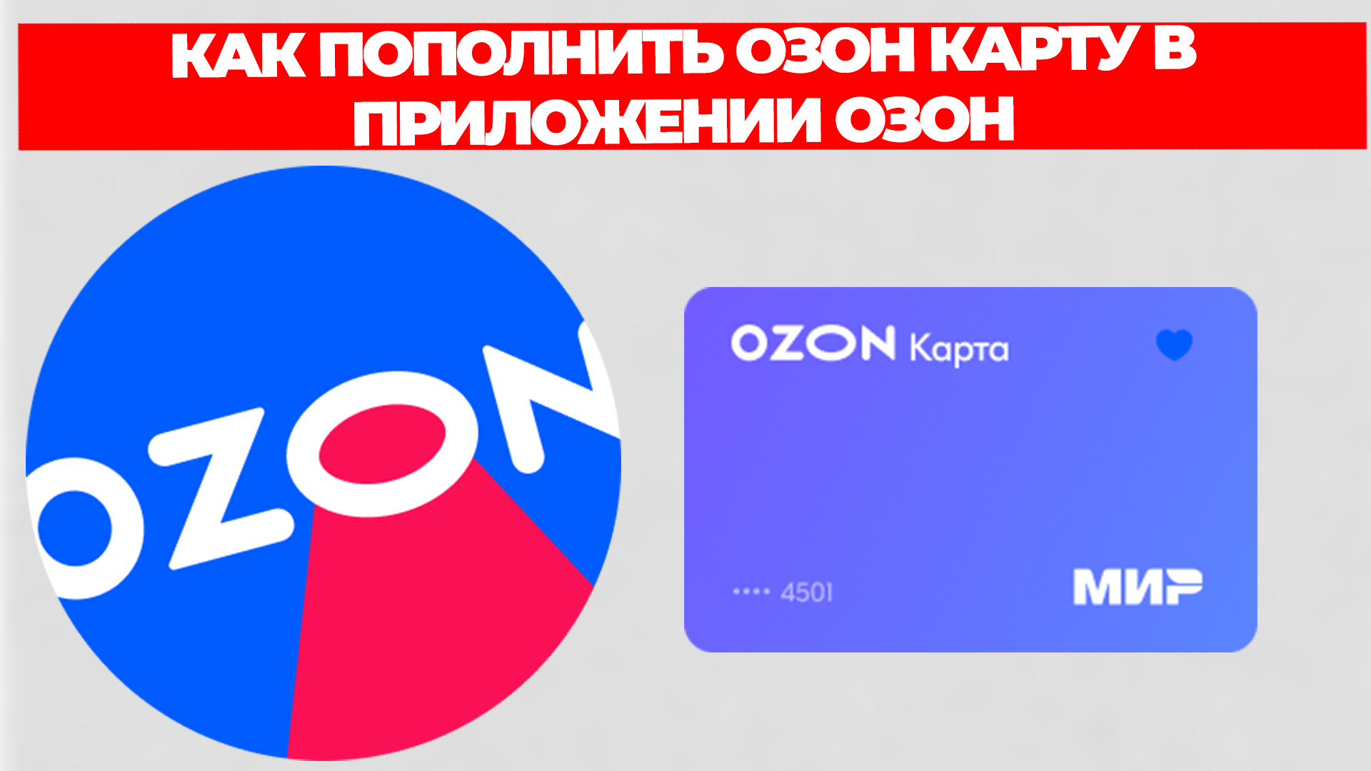 Всезнающий Енот