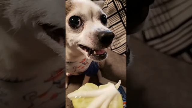 😤За такие шутки в зубах бывают промежутки смотреть онлайн