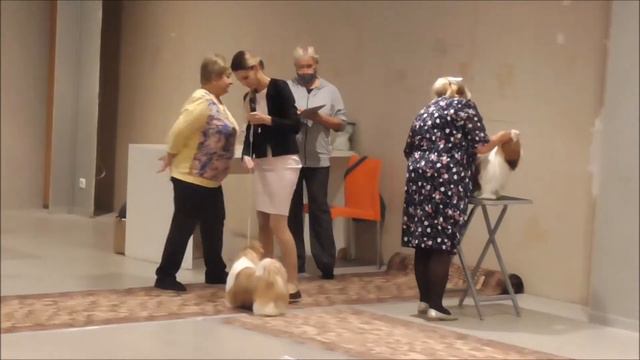 11 сентября эксперт Григоренко Т смотреть онлайн