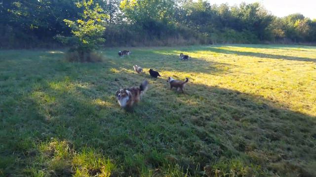 20160908 092151 смотреть онлайн