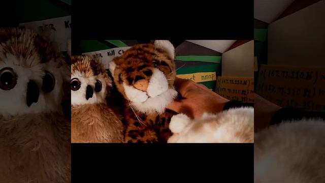 ATTACK EM SCRIPT смотреть онлайн