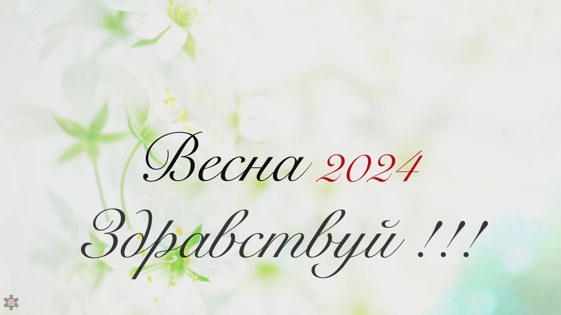 Привет Весна 2024