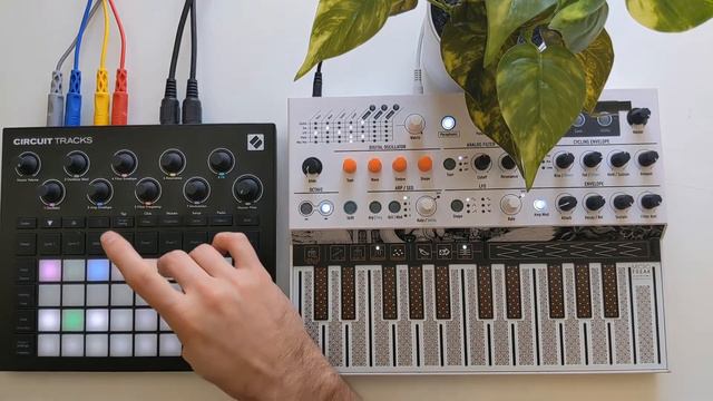 A Soft Synth Jam on the Novation Circuit Tracks and Arturia Microfreak смотреть онлайн