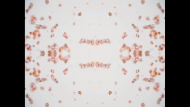 CINEMA 4D Particle Scattering / octance scatter / Emitter render / mograph / tracer realflow смотреть онлайн