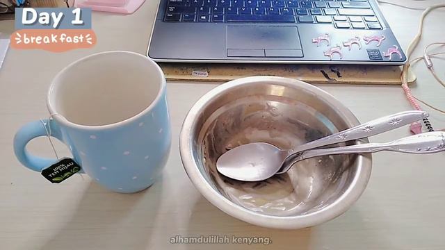 I tried Versatile Vicky's Egg Diet for 3 Days (900 calories diet) | NISNAP NEW VLOG #013 смотреть онлайн