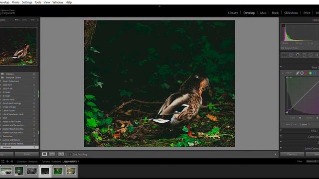 Lightroom Catalog v10 Kirsty Adobe Photoshop Lightroom Classic Develop 2020 11 22 14 49 33 смотреть онлайн