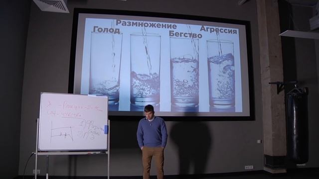 Илья Степанов. Управление эмоциями. Как не сгореть на работе смотреть онлайн
